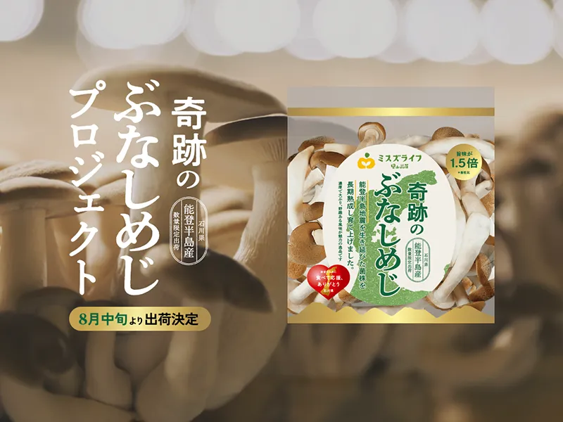 「奇跡のぶなしめじ」プロジェクト ミスズライフ